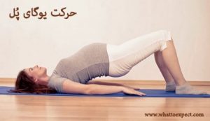ورزش پل حرکات ورزشهای یوگای بارداری